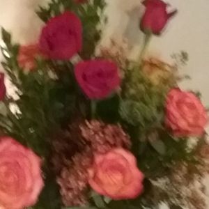 Meet your Posher, Yolanda